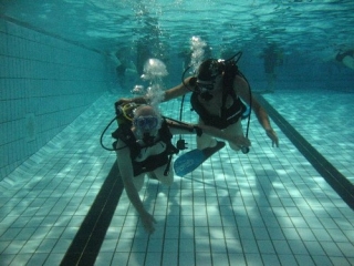 Venez buller en leur compagnie.jpg